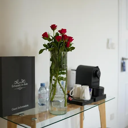 Echappee En Baie - Parking Prive Gratuit Dont Forfaits Bornes Electriques Reservable *